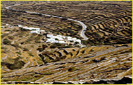 click to enlarge